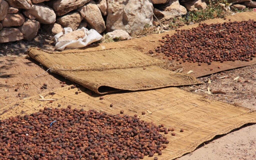 Drying nuts | Duyvis Wiener