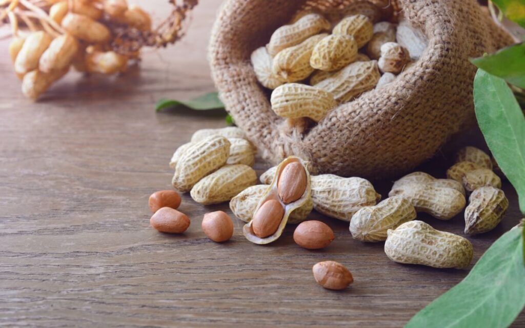 Peanut press machine’s role in oil production