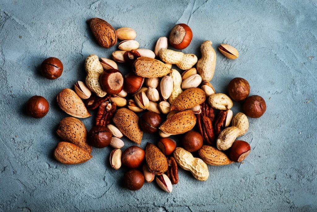 Nut processing equipment